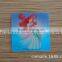 3d changing cartoon sticker,dimensional sticker