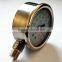 All stainless steel pressure gauge with back flange with best price made in ningbo china