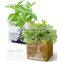 Customized gifts for team members DIY mini bonsai small return gifts , magnetic levitating gifts