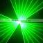 Single Green 200mW Animation writing Laser Light by Scanner