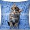 Profession Colorful Printed Cushion Cover custom printing cushion covers