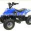 800W 36V The Bike Adult Electric ATV