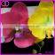 Artificial Phalaenopsis Orchids Flower Heads for Wedding Decoration
