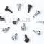 Pan Faming Head Self Drilling Screw