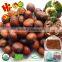 Frozen organic roasted chestnuts for sale