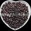 GMP Factory Supply Acai Berry Extract with Anthocyanidins