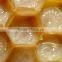 Foods high vitamin b12 Normal Dosage Honey Ginseng root prices