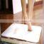 Thin Super Absorbent Fast Drying Bath Mat Anti-bacteria Diatomite