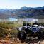 1100cc 4X4 BUGGY/ dune buggy chery engine