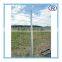Heibei China Galvanized Y type star fence post/steel fence pole
