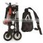 Wholesale New Styple Electric Folding Tall Bike With Cheapest Price