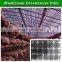 PE plastic film products for mushroom tunnel / greenhouse film for shade crops