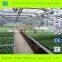 Multi-Span Glass Greenhouse for Agricultural Seeding