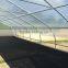 polytunnel garden greenhouse pollytunnel