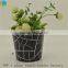 decorative glass vase used wedding decor