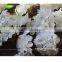 FLH010-2 artificial hydrangea flower petals for wedding flower decoration
