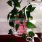 promotion plastic flower pot