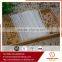 potato oriental vermicelli with certificates
