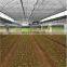 greenhouse UV plastic shade mesh net for agriculture