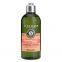 L'Occitane Aromachologie Repairing Shampoo with 5 Essential Oils (Package May Vary), 10.1 Fl. Oz.