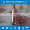 Light Bulb Industry CO2 Cartridge Coke Beer CO2 Gas Cylinder Light Bulb Industry CO2 Gas Bottle