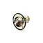 5257076 diesel engine thermostat,thermostat
