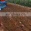 1L-535 chinese mouldboard plough and price