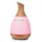 New Flower Vase Electric Air Freshener Danq Humidifier Price Luchtbevochtiger Essential Oil Aroma Diffuser Ultrasonic Humidifier