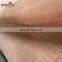 0.25mm 3mm gurjan wood ev gurjan veneer board