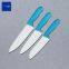 cook chef knife catering hospitality supplies kitchen knives foodservice utensils produced by BOLEX CUTLERY China