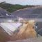 1.50mm thickness HDPE Geomembrane Liner