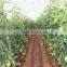 Round Inline Drip Irrigation Pipe Production Line