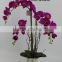 artificial orchid flower with flowerpot