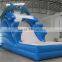 8mL Giant Dolphin Inflatable Slide