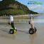 Personal electric personal transport, 2 wheel balancing scooter, self balancing electric chariot