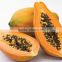 SunShine Health Food of Papaya Fruit / Powder for Skin Whitener & Body Lotion high purity