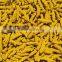 Polished Turmeric Finger for USA Buyers