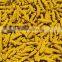 Erode Turmeric Fingers - Bold