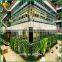 fake plants artificial green wall factory sale