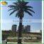 New design artificial date palm tree fiberglass canary palm tree