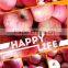 Apple fruits products for Thailand The Best quality of Red Delicious Apple