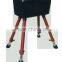 Hottest Gymnastic Equipment Horse