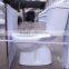 Washdown floor outlet 250 mm ceramic toilet pot
