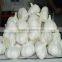 Hot sale Fresh Pure White Garlic with best price