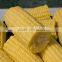 Chinese IQF Frozen Sweet Corn for sale