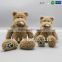 Meet Europe Standard Stuffed Teddy Bear Custom Made Plush Toy with Logo