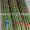 Bamboo poles and Bamboo bent pole
