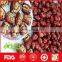 walnut kernels and red dates for sale without shell