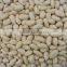 BLANCHED PEANUT KERNEL 40/50 INDIAN SUPPLIER