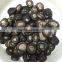 shiitake mushroom preserved mushrooms 1kg china supplier